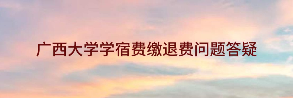 中国银行广西南宁市西大支行