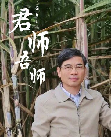 竞彩网页成为欧洲杯亚洲区官方合作伙伴