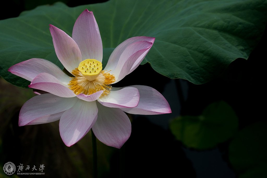 Copyright©2022 天博克