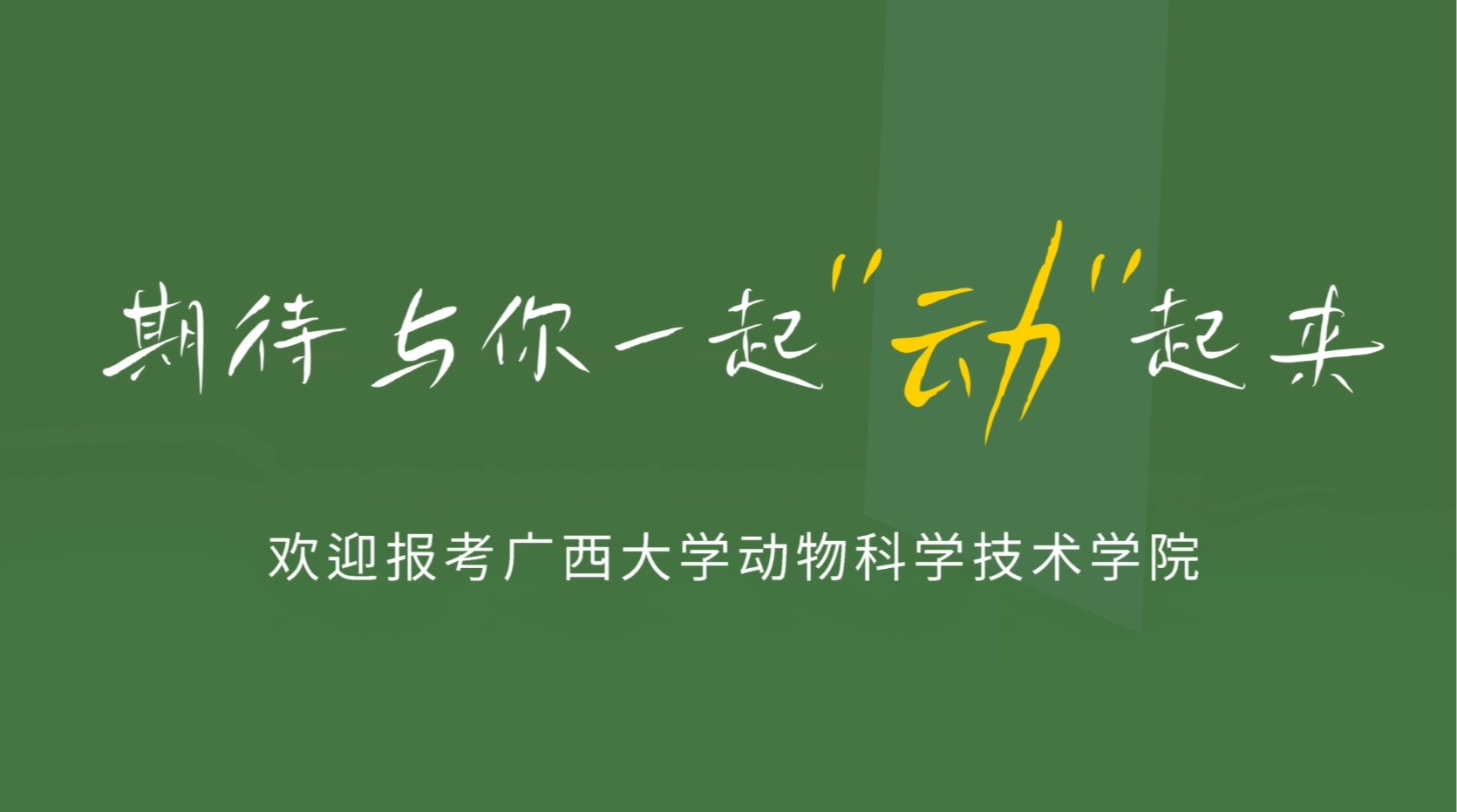 天博克罗地亚入口